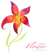 watercolor flower
