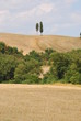 crete senesi - paesaggio toscano