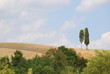 crete senesi - paesaggio toscano