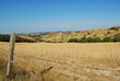 crete senesi - campi di grano crete senesi - campi di grano