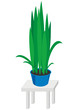 House plants in blue pots on gray table House plants in blue pots on gray table