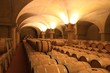 Weinkeller Barrique Rotwein Holzfässer Piemont, Italien