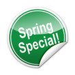 Pegatina Spring Special! con reborde