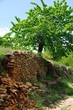 WALDWEG WALDWEG
