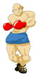 Boxer