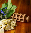 Ravioli di borragine Ravioli di borragine