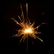 Lucky Sparkle