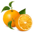 Vector fresh ripe oranges with leaves.