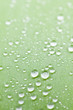 Tropfen auf einem AloeVera Blatt