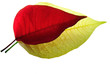 Red on Yellow