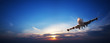 Jet cruising in a sunset sky. Panoramic image.