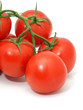 Tomatoes on the white background