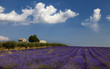 Vaucluse landscape (France)