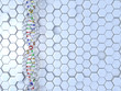 DNA Background