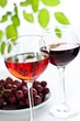 Foto: Wein und Trauben Wein und Trauben