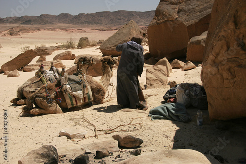 Photo: Bedouin with camels in the desert of Sinai, Egypt Bedouin with camels in the desert of Sinai, Egypt
