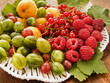 Berries