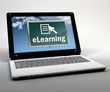 Mobile Thin Client 