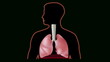 Respiratory system loop