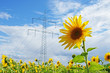 Energie