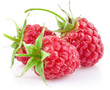 raspberry with green leaf