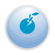 Boule, bouton, sphère, reflet, transparent, picto, logo, icône