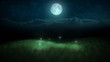 Fireflies at night and moon loop