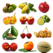 frutta collage