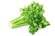Green celery Green celery