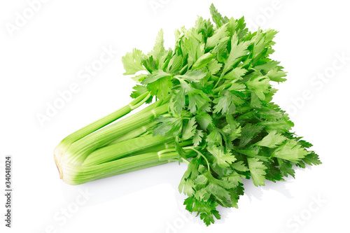 Photo: Green celery Green celery