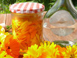 Calendulablütenansatz für eine Tinktur