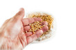 Fregola Sarda Pasta Italia