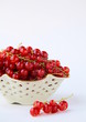 ripe red currants on a white background ripe red currants on a white background