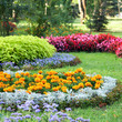 flower landscaping