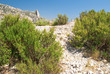 Kiesweg in den französischen Calanques Kiesweg in den französischen Calanques