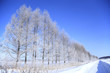 雪道と樹氷