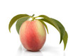 Peach isolated