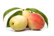 Peach isolated