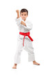 Foto: A karate kid posing A karate kid posing