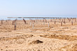 Spiaggia di Grado Spiaggia di Grado