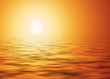 sole