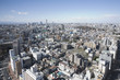 A fényképek részletei 東京の景色