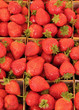étal de fraises au marché étal de fraises au marché