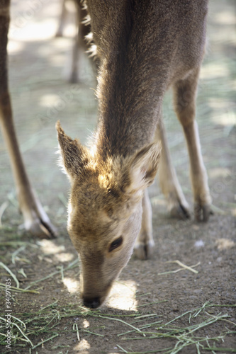 photo par paylessimages