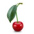 Ripe cherry isolated on white background