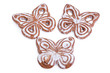Cookies isolated on the white background Cookies isolated on the white background