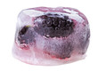 Some black mulberry fruits inside of melting ice cube, isolated Some black mulberry fruits inside of melting ice cube, isolated