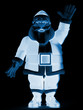 santa greatings x ray santa greatings x ray