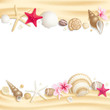 Seashell frame