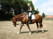 Foto: frau mit pferd frau mit pferd